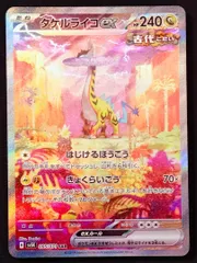ポケモンカードタケルライコex SAR 095/071 [sv5k] ポケカ