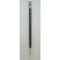 Item thumbnail for item 5e349caf-a0de-4950-9382-8ecf04b9192e