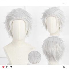 ツイステッドワンダーランド カリム・アルアジーム ウィッグ - メルカリ