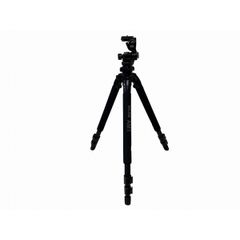 Item thumbnail for item 29f80df7-2e42-4a21-a769-0592add8e8da