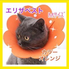 Item thumbnail for item 6668bd60-8c78-47f4-b688-5eae761cad01