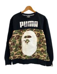 Item thumbnail for item d393c7f5-31a3-460a-9f59-86bb99c199c0