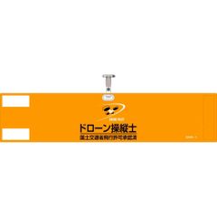 Item thumbnail for item a6a0b04f-5559-4b00-b166-0a49abdf9c8e