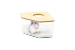 Item thumbnail for item 12b60928-e538-4483-84e7-b7cf2926c3cf