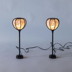 Item thumbnail for item 3f23f8b8-bedb-4ee3-ac0d-fc362027c245