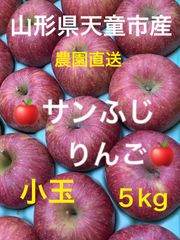 山形県産🍎小玉サンふじりんご🍎5kg