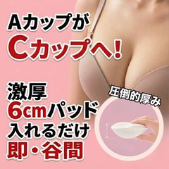 Item thumbnail for item 9f2552ee-7bda-47bf-926a-a2e7639216e7