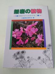 Item thumbnail for item f99539bf-b5b2-4109-89ea-a1bf0e380c84