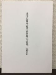 Item thumbnail for item 2e36c2d9-4bd8-4518-8a0a-8118f32bae5a