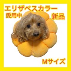 Item thumbnail for item 4b62604f-dcc3-48a3-9192-6aed4b524656