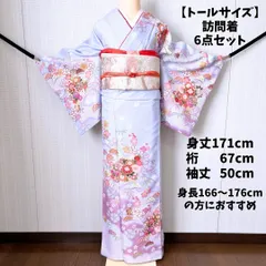 【超トールサイズ】訪問着 6点セット 身丈171cm 淡藤色 花文様 洗える 高品質ポリエステル 長襦袢 袋帯 帯揚げ 帯締め 重ね衿 佐賀錦