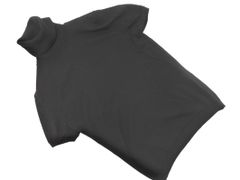 Item thumbnail for item 6beb0f50-ea38-417f-bce9-fd1f2199fb0b