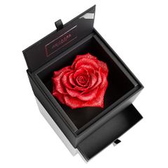 Item thumbnail for item eb8888f5-414d-4455-b30a-4df0dc9a693d