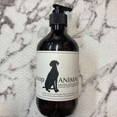 Item thumbnail for item 89e1b052-1529-45a7-ae2b-6fe6d0ea9363