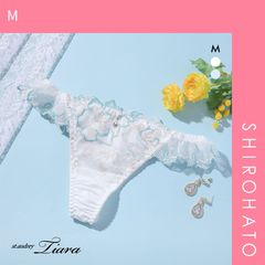 Item thumbnail for item 295ead01-9dc6-47ce-b68a-5a20a81c00e8