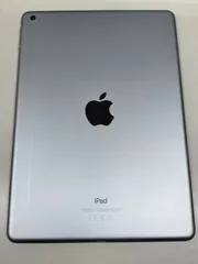 【本日発送】✨シーズー✨様専用