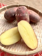 2026年最新】グランドペチカの人気アイテム - メルカリ