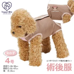 【新品】 ペット用 術後服 犬 女の子用 4号 小型犬 ブラウン メス 雌 服 抗菌 消臭 手術後 ウェア いぬ わんちゃん 肌にやさしい 着せやすい 傷なめ 防止 傷口 保護 女の子 大阪公立大学 獣医学部 共同開発 ディズニー ミニーマウス PETCF2のサムネイル