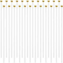 Item thumbnail for item 42fb42c2-2f16-487a-b867-709d731aaf73