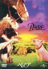 【中古】洋画DVD ベイブ
