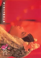 【中古】パンフレット ≪パンフレット(洋画)≫ パンフ)ぼくのバラ色の人生 (プレスシート)