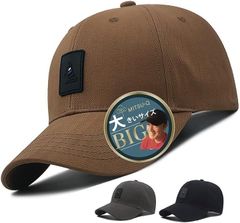 Item thumbnail for item 87f94909-3a73-4280-b88b-58345ef0dca3