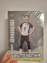 木兎 赤葦 リバーシブル L はい ファイル 出品