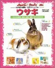 ウサギ 改訂・保存版: ウサギの飼育・医学・生態・歴史すべてがわかる (アニファブックス わが家の動物・完全マニュアル