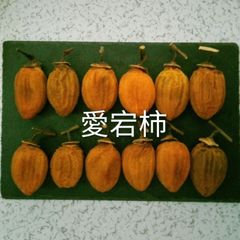 263  干し柿　愛宕柿　やわらか　25個