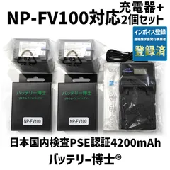 2026年最新】hdr-cx680 sony アクセサリーの人気アイテム - メルカリ