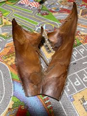 Item thumbnail for item 006eb16b-7c24-445a-83d3-c4d006a8ea79