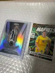 ズラタン・イヴラヒモビッチ カード 랏