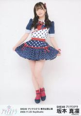 Item thumbnail for item 33a4ce69-3d2b-4404-9869-083cecebfc7c