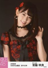 Item thumbnail for item dfe61db0-a762-4fd2-b61d-d7f96c7faf34