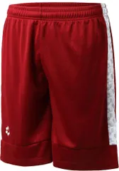 スフィーダ sfida フットサル BP ゲームショーツ メンズ レディース 肌触り 耐久性 速乾 スピンドル仕様 HEX Beastライン ハーフパンツ ハーパン 練習 パンツ バスケットボール  SA21823 BGDY BURGUNDY