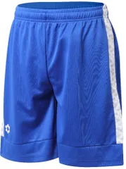 スフィーダ sfida フットサル BP ゲームショーツ メンズ レディース 肌触り 耐久性 速乾 スピンドル仕様 HEX Beastライン ハーフパンツ ハーパン 練習 パンツ バスケットボール  SA21823 BLU BLUE