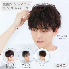 TefuRe ウィッグ メンズ おしゃれ パーマ メッシュ グラデーション カラー ナチュラル ブラック グレー グリーン ネット付き 洗える ナチュラルブラック N-BLK