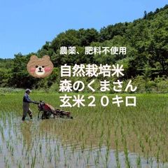 ☆自然栽培米 玄米20kg(5kg×4) 令和7年度 熊本県産 森のくまさん