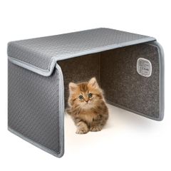 Item thumbnail for item 25f40cc0-ded9-4475-a5d8-d01143fbf622