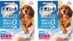 Item thumbnail for item 89b34153-3341-4d7c-8d4e-5b530233eba7