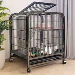 Item thumbnail for item 231d17ee-dbc7-4aa6-a733-dd079449888d