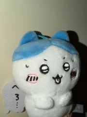 ハチワレ ぬいぐるみ