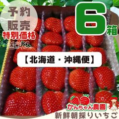 特大 大粒 新鮮朝採りいちご 予約】大粒いちご ⑥箱 北海道・沖縄便 新鮮朝どり かおりの - メルカリ