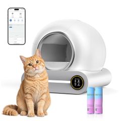 Item thumbnail for item c513af3a-8a6b-412b-846c-ca87b7ed4b06