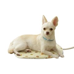 Item thumbnail for item 6b92614a-e1e6-43b4-9feb-d40caa15078b