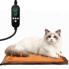 Item thumbnail for item 1b1dbffb-e1f6-4518-a4cd-0a60e78bcb5d