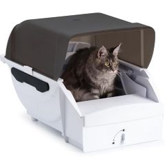 Item thumbnail for item 97d2e21c-90d9-4238-a3e6-28715991274a