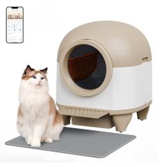 Item thumbnail for item 86c1874f-fb05-4206-8212-33bb8faac3a5