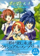 メディアファクトリー 君が望む永遠VISUAL COMPLETE