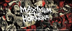 맥시맘자호르몬 MAXIMUM THE BATH TOWEL 굿즈 타월 2023 backdrop edition 페이스타올